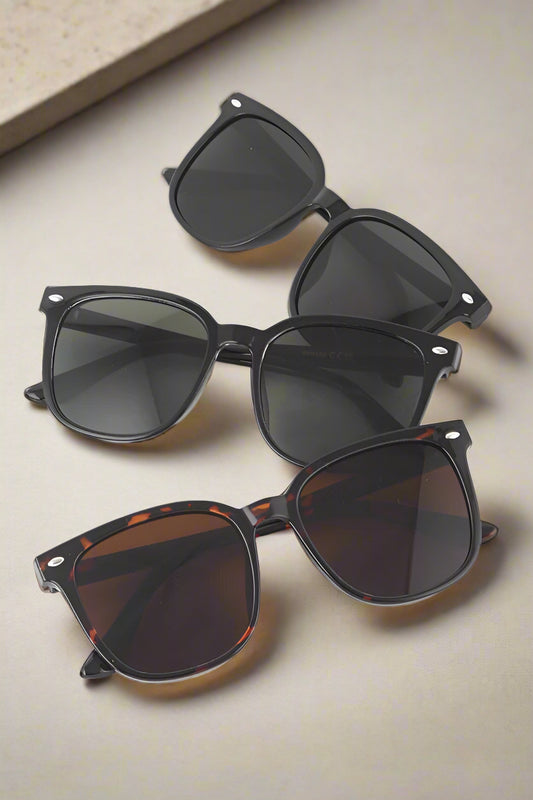 Wayfarer Wonder Sunnies
